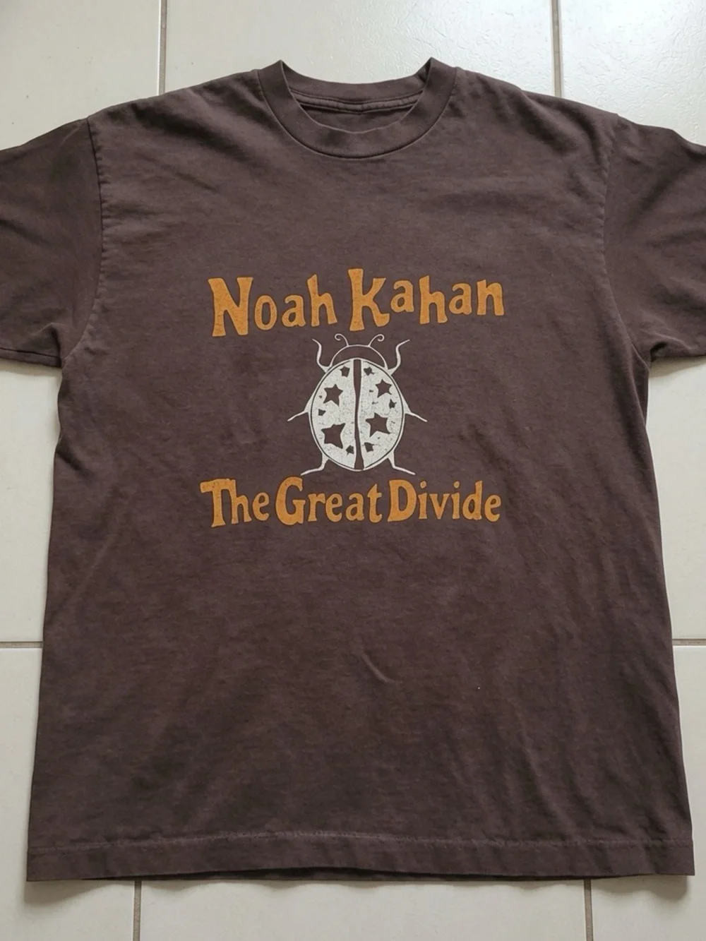 Gildan Brown T-shirt The Great Divide Brown Graphic Tee